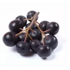 Bio Aronia Saft 1 Liter Bio Aronia Saft 1 Liter